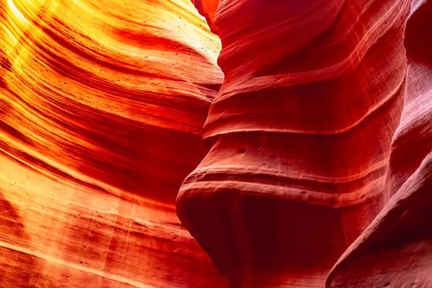 Antelope canyon's vibrant sandstone walls display swirling patterns and smooth curves, showing the