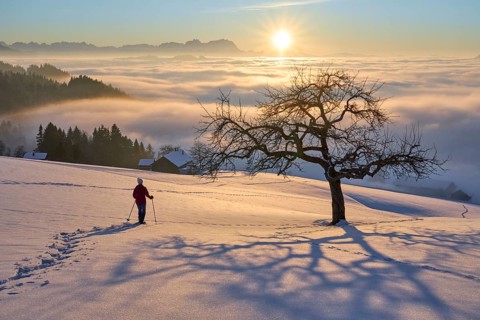 Senior Woman hiking with snow shoes at sunset in the Bregenz Forest mountains, Vorarlberg, Austria