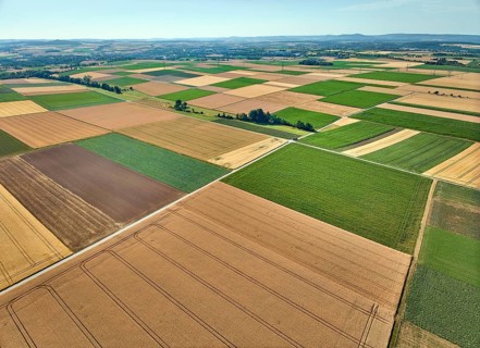 Aerial view of geometric grain and corn fields forming a colorful agricultural landscape with