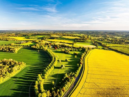 Rapeseed Fields and Farms over Horsebridge nad Stockbridge from a drone, Hampshire, England, United