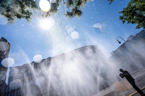 Cooling Cologne, campaign by the city of Cologne to cool down places exposed to heat, here