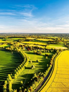 Rapeseed Fields and Farms over Horsebridge nad Stockbridge from a drone, Hampshire, England, United