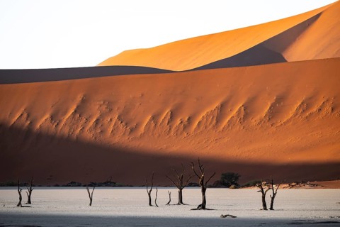 Red sand dunes and white salt pan with dead trees, Dead Vlei, Namib Desert, Namib Naukluft Park,
