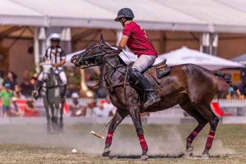 Polo player, polo horse, polo pony (Equus), rider, polo tournament, 1295 Polo Masters, Sylvenstal,