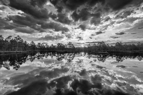 Cloud reflection in a moor lake, Knuthöjdsmossen Nature Reserve, Västmanland, Sweden, July 2018