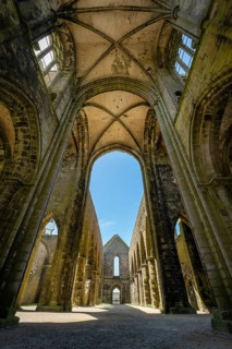 Looking up into the stone cross-rib vault of a Gothic church ruin looking at the sky through the