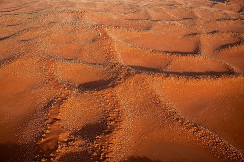 Aerial view, sand dunes with vegetation in the Namib Desert, Namib Naukluft Park, Namibia