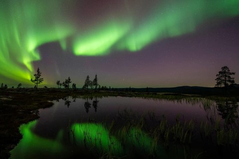 Northern Lights (Aurora borealis) reflected in a mountain lake, Norrbotten, Lapland, Sweden,