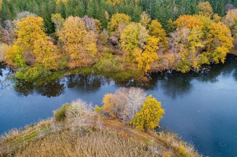 Autumn at the Ahlhorn fish ponds, Bissel, Großenkneten, Lower Saxony, Germany