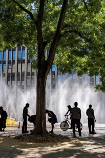 Cooling Cologne, campaign by the city of Cologne to cool down places exposed to heat, here