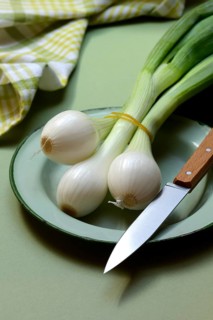 Spring onion with knife on plate, Allium cepa