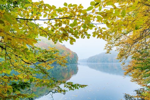 Autumn at Schmale Luzin, lake in Mecklenburg-Western Pomerania, Feldberg Lake District,