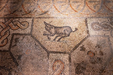 Mosaic with geometric pattern and depiction of animals, North Hall, Basilica di Santa Maria
