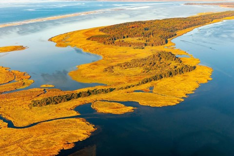 Werder Islands near Zingst in the Western Pomerania Lagoon Area National Park, Zingst,