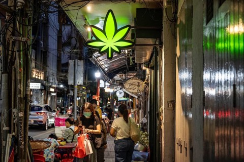 Bangkok, Thailand. August 14th 2026. Green illuminated cannabis leaf sign outside a legal weed shop