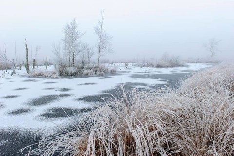 Winter with hoarfrost and snow in Goldenstedter Moor, Goldenstedt, Lower Saxony, Germany