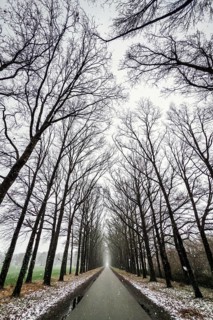 Winter trip with snow on an alley in Almelo, the Netherlands