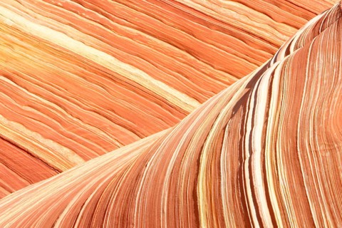 Red Canyon, The Wave, Sandstone Formation, Geography, Travel, Rocky Landscape, Arizona, Paria