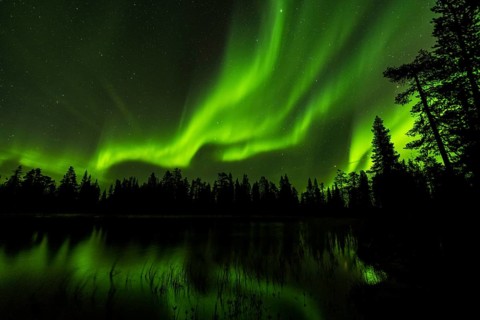 Northern Lights (Aurora borealis) reflected in a forest lake, Muddus National Park, Laponia World