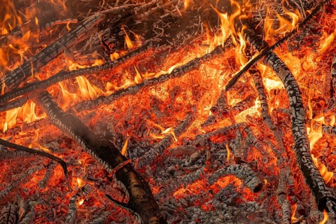 Charred branches and embers in an intense fire with flames, Finland