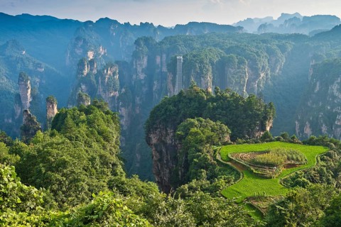 Sky garden and quartz sandstone pillars of the Tianzi Mountains in Zhangjiajie National Park,