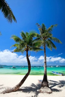 Beach on Boracay, Philippines, Asia, Boracay island, palm beach, beach, cumulus clouds, dream beach