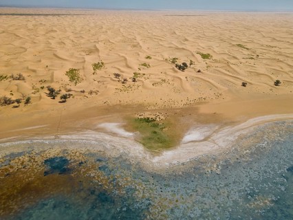 Aerial view, Swan Lake in front of moving sand dunes, salt lake in the Tengger Desert, part of the
