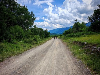 Two cyclists ride on a dusty track, path lined with lush vegetation, mountains in the background,