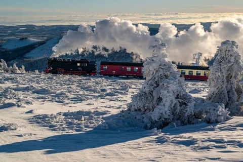 The Brocken Railway with steam locomotive in atmospheric backlight on the way to the Brocken