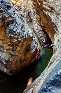 A narrow, dark passage with water flow between high rocks, deep gorge in the thornshrub savanna of