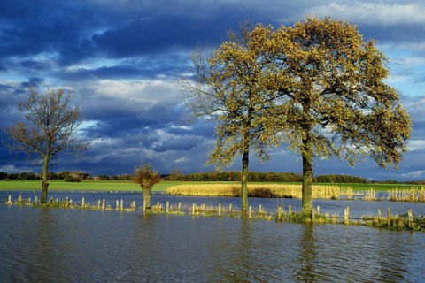 Germany, Lippe river, flood, thunderstorm, flood, flooded meadows and fields, River Lippe, Germany,