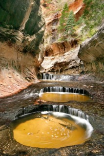 Landscape in Utah, USA, Zion NP, National Park, Subway, Erosion, Sandstone, Utah, United States