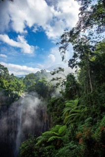View of a wooded mountainside with fog and blue sky surrounded by lush vegetation, view of