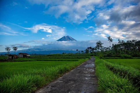 A trail leads through green fields to a distant volcano rising under a cloudy sky, Volcano,