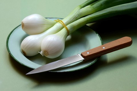 Spring onion with knife on plate, Allium cepa