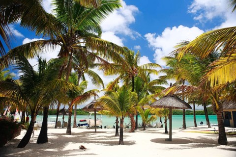 Africa, Mauritius island, A beautiful beach with palm trees on the island of Mauritius, Mauritius
