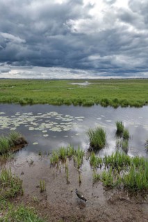 Reflection in the Hunte during stormy cloudy sky in the wetland at Dümmer See, Hüde