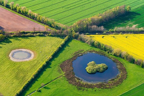 Aerial view of a Schlatt, with fields, hedges and pond in the district of Vechta, Oldenburger