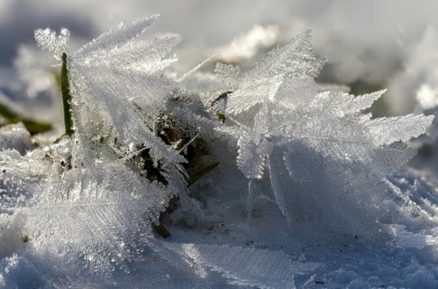 Detail, ice, ice crystal, frost, snow, winter