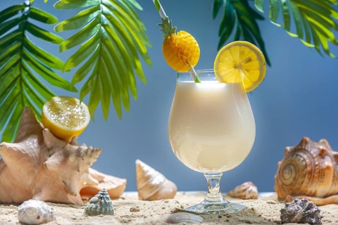 Exotic drink with lemon and straw surrounded by mussels and palm leaves