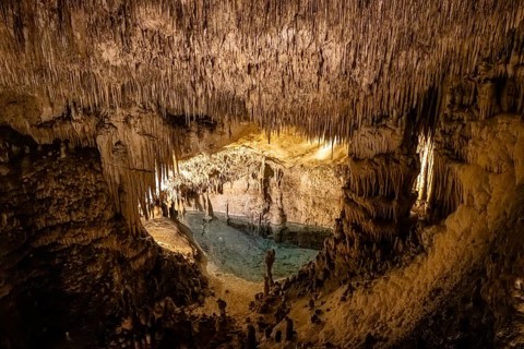 The Cuevas del Drach (Dragon Caves) are an impressive cave system on the east coast of Majorca,