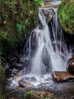 A stream with rocks and running water. Experience the landscape in nature, Austria