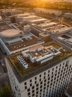 High-rise building with green roof at sunset, modern urban cityscape, new hospital building,