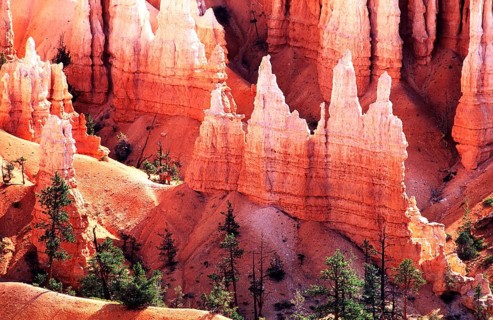 Geography, Bryce Canyon NP, Utah, USA, national park, erosion, sandstone. Geography, Travel,