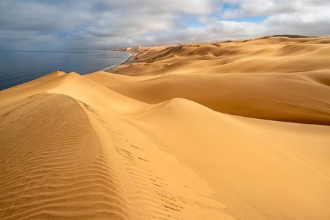 Sand dunes and sea, Atlantic coast and sandy desert with sea of dunes, Sandwich Harbour, Namib