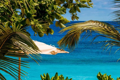 Anse Forbons Beach, Hilton's Double Tree Resort & Spa, Mahe, Seychelles, palm trees, Republic of