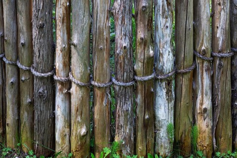 Wooden stockade fence made of cut tree trunks attached and tied firmly together with rope and