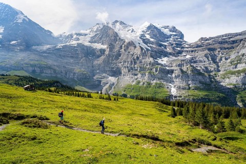 Two hikers on a hiking trail on Mettlenalp, mountain panorama with peaks Mönch and Jungfrau,
