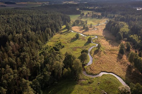 Bavaria, Upper Palatinate, Tirschenreuth, Waldnaab, Waldnaabaue, wild pastures Waldnaabaue, aerial