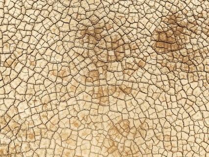 Cracked earth. Aerial view. Drone shot. Namib Desert, Skeleton Coast, Namibia